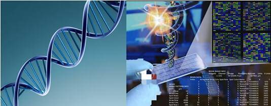 miRNA Expression Profiling Service